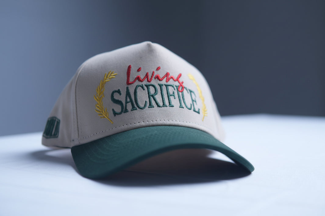 BOLD Apparel - The Perry's Merch Store – Bold Apparel
